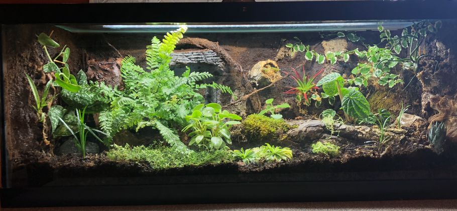 Customer photo review of Sunblaster LED High Output 6400K watt strip lights