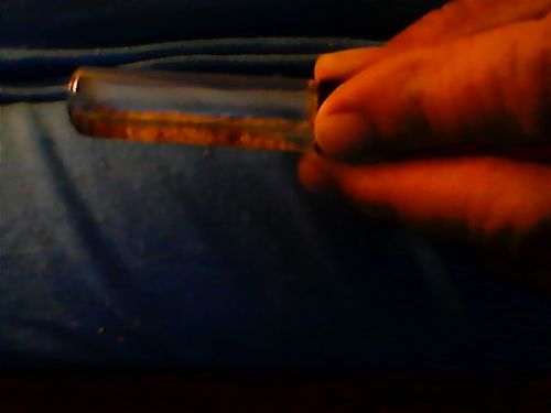 Customer photo review of 2 Lb. Rich Gold Paydirt Unsearched Concentrate