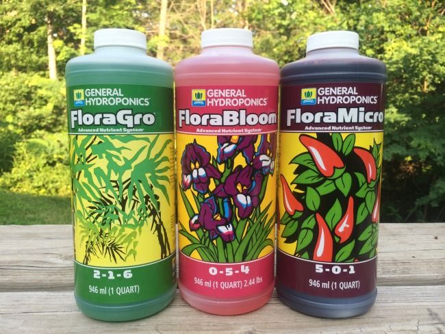 Customer photo review of General Hydroponics GH FloraMicro (5-0-1)