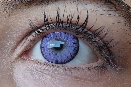 Customer photo review of Legacy Violet