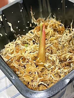 Customer photo review of General Hydroponics Flora Series Quart Bundle