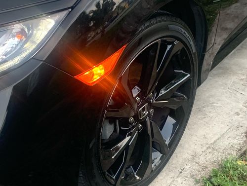 Customer photo review of The Summer Collection(+) Kit