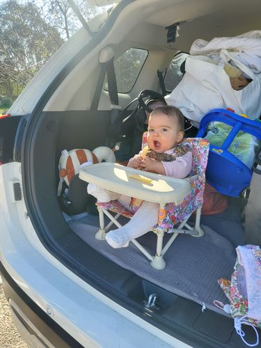 Customer photo review of Paloma baby chair v2