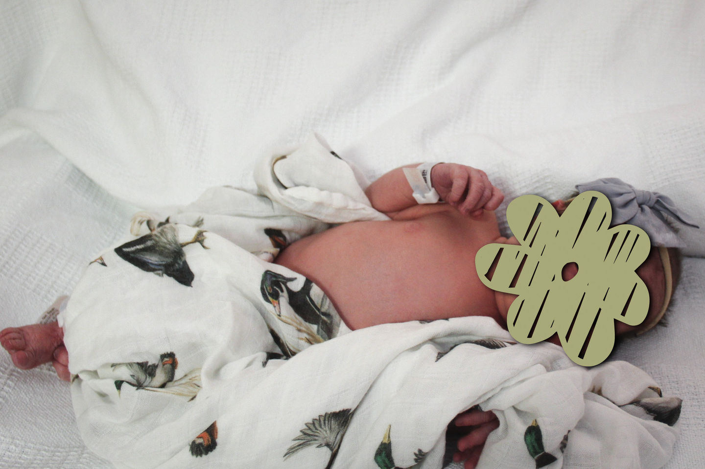 Customer photo review of Diving Ducks - Swaddle