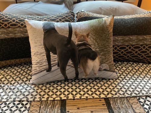Customer photo review of Create A Custom Dog Pillow