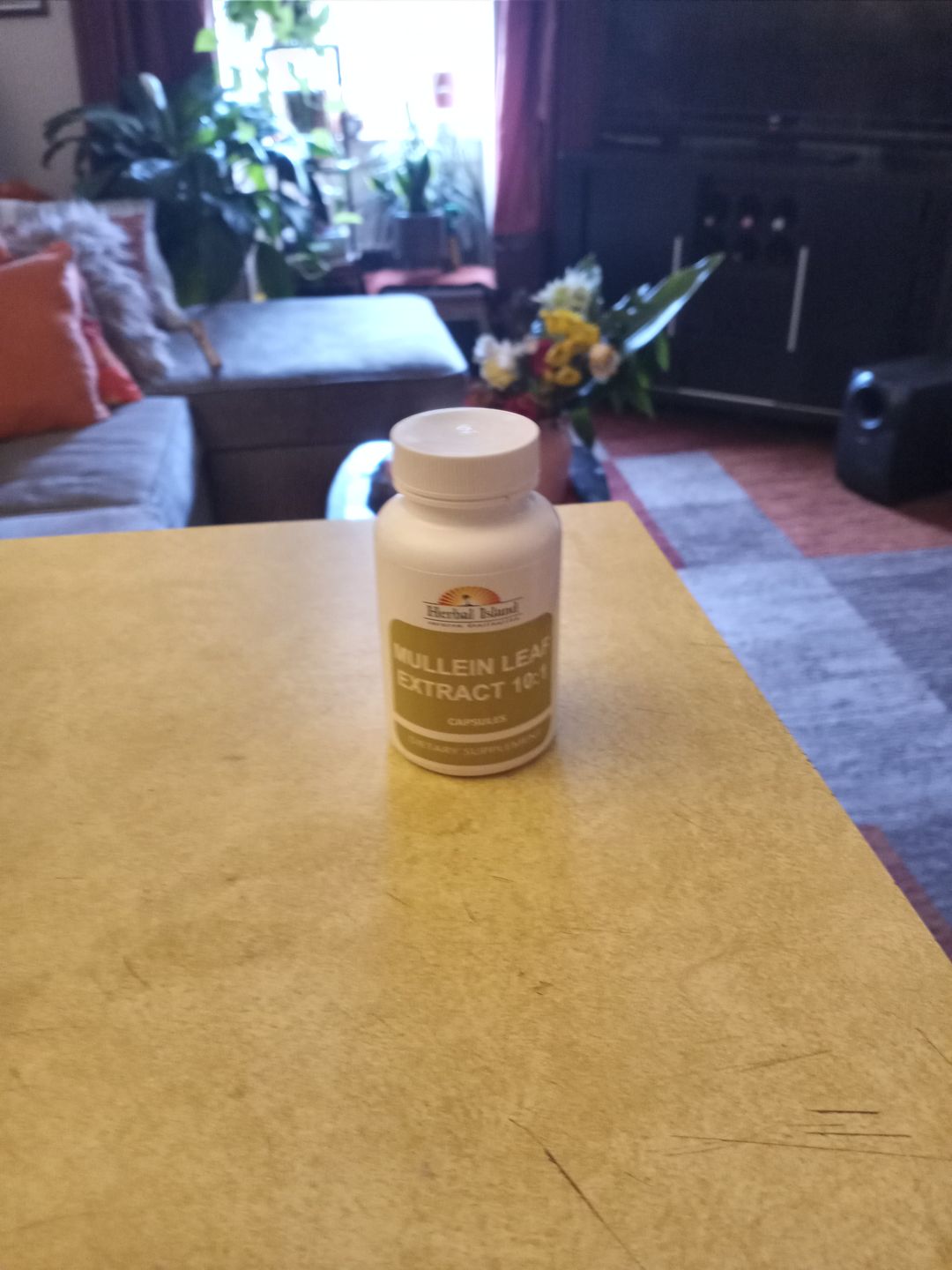 Customer photo review of Mullein Leaf Capsule (Lung Detox Mucus)