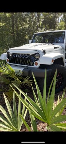 Customer photo review of Shark Grille - Black & White for 07-18 Wrangler JK/ JKU