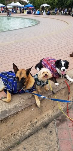 Customer photo review of Puppy Playa eGift card