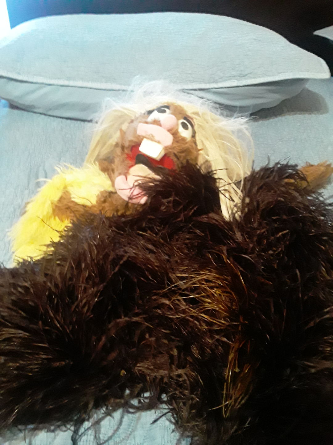 Customer photo review of Ostrich Feather Boa