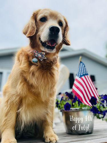 Customer photo review of Explorer