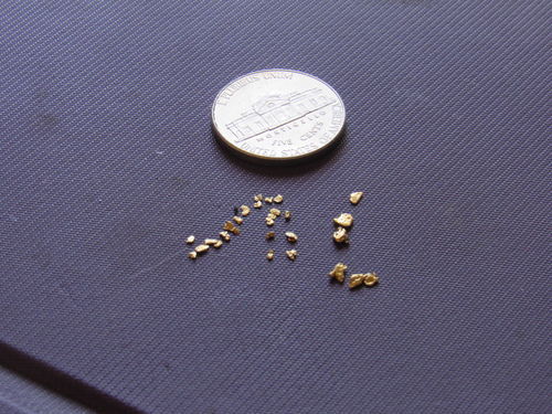 Customer photo review of Treasure Paydirt Surprise '300 GRAM GOLD HUNT' - Gold Paydirt Panning Concentrates