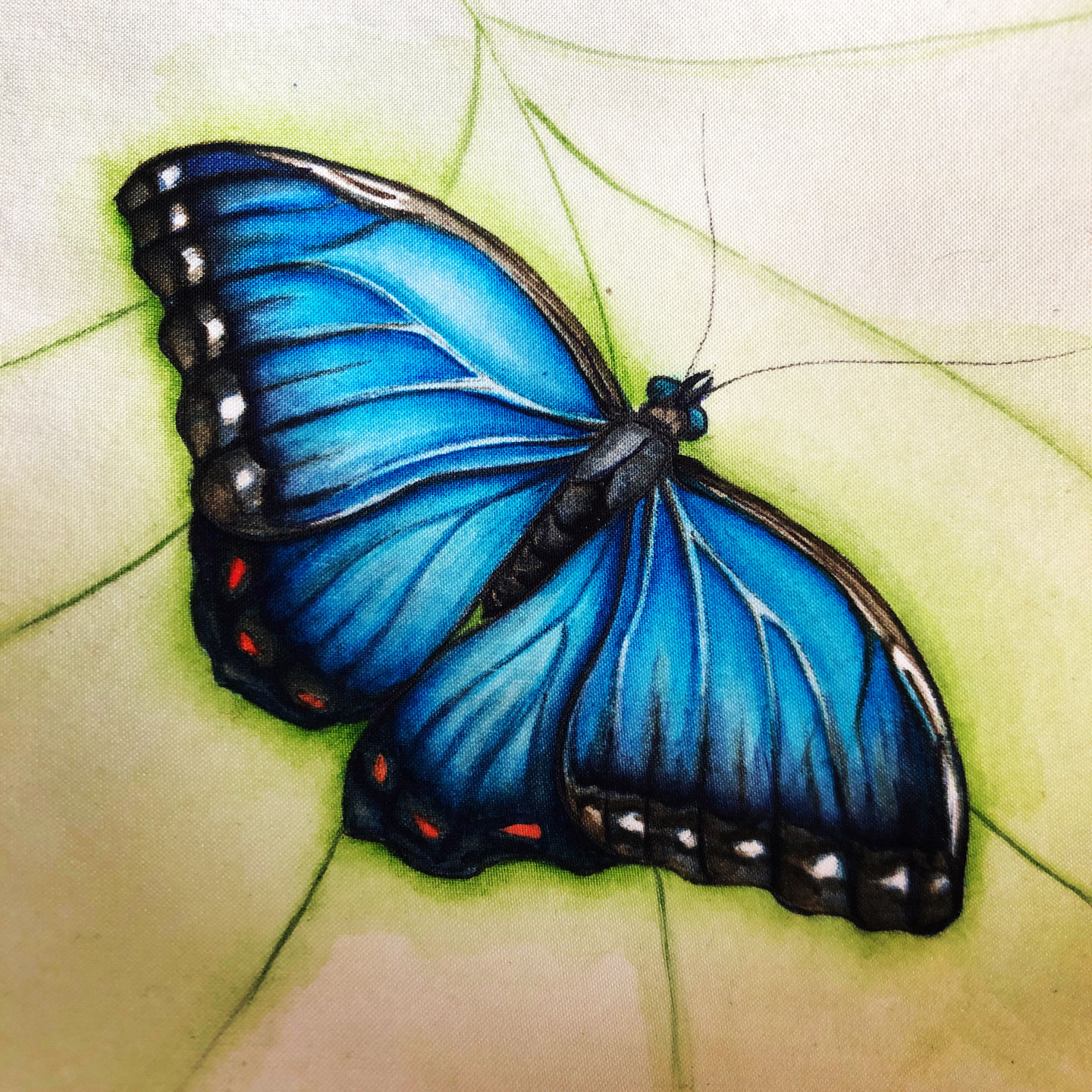 Customer photo review of Silk Paper