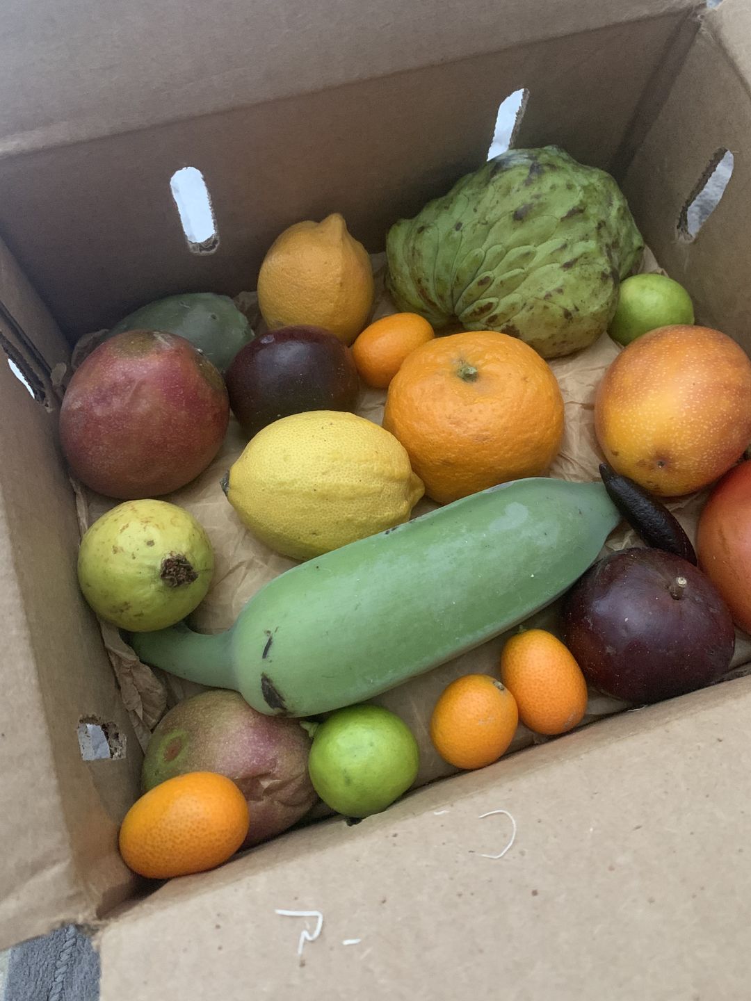 Customer photo review of Florida Residents Club Box