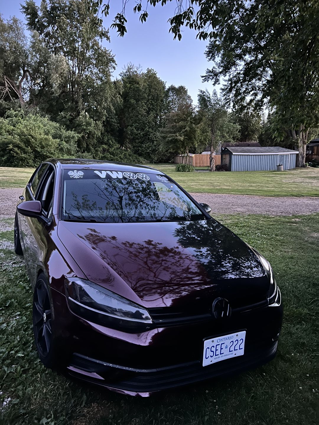 Customer photo review of Glossy Metallic Black Rose Vinyl Wrap