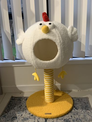 Customer photo review of ZEZE Chicken Cat Scratching Post, Cat Bed
