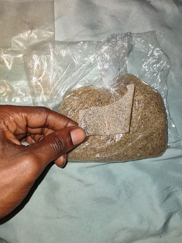 Customer photo review of *BOGO* Gold Diggers Delight '10 TROY OUNCE GOLD HUNT' - Gold Paydirt Panning Concentrates