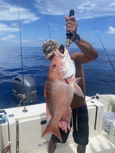 Customer photo review of DeerMeatForDinner Rod