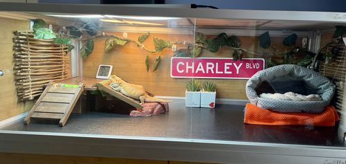 Customer photo review of Meridian Zen Mat - for 4'x2' based Meridian enclosures