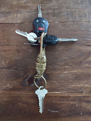 Customer photo review of Brass Beetle Snap Keychain