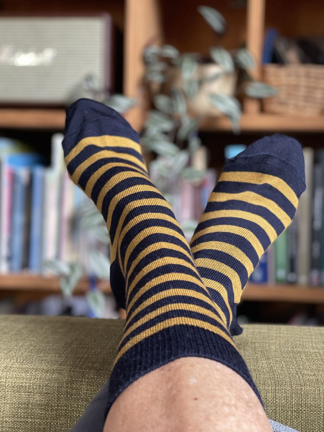 Customer photo review of Socks Mallow Stripe