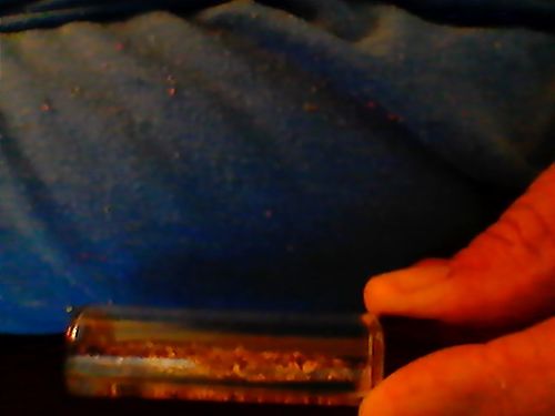 Customer photo review of 2 Lb. JACKPOT PAYDIRT™ Gold Paydirt Unsearched