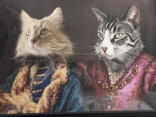 Customer photo review of The Count & The Countess  – Custom Vintage Pet Portrait