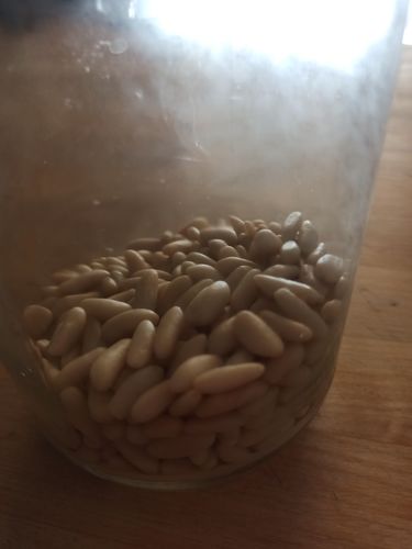 Customer photo review of Pinoli della Costa Pisana - 250g