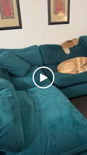 Customer video review of Fluffy 5 piece Modular Sectional