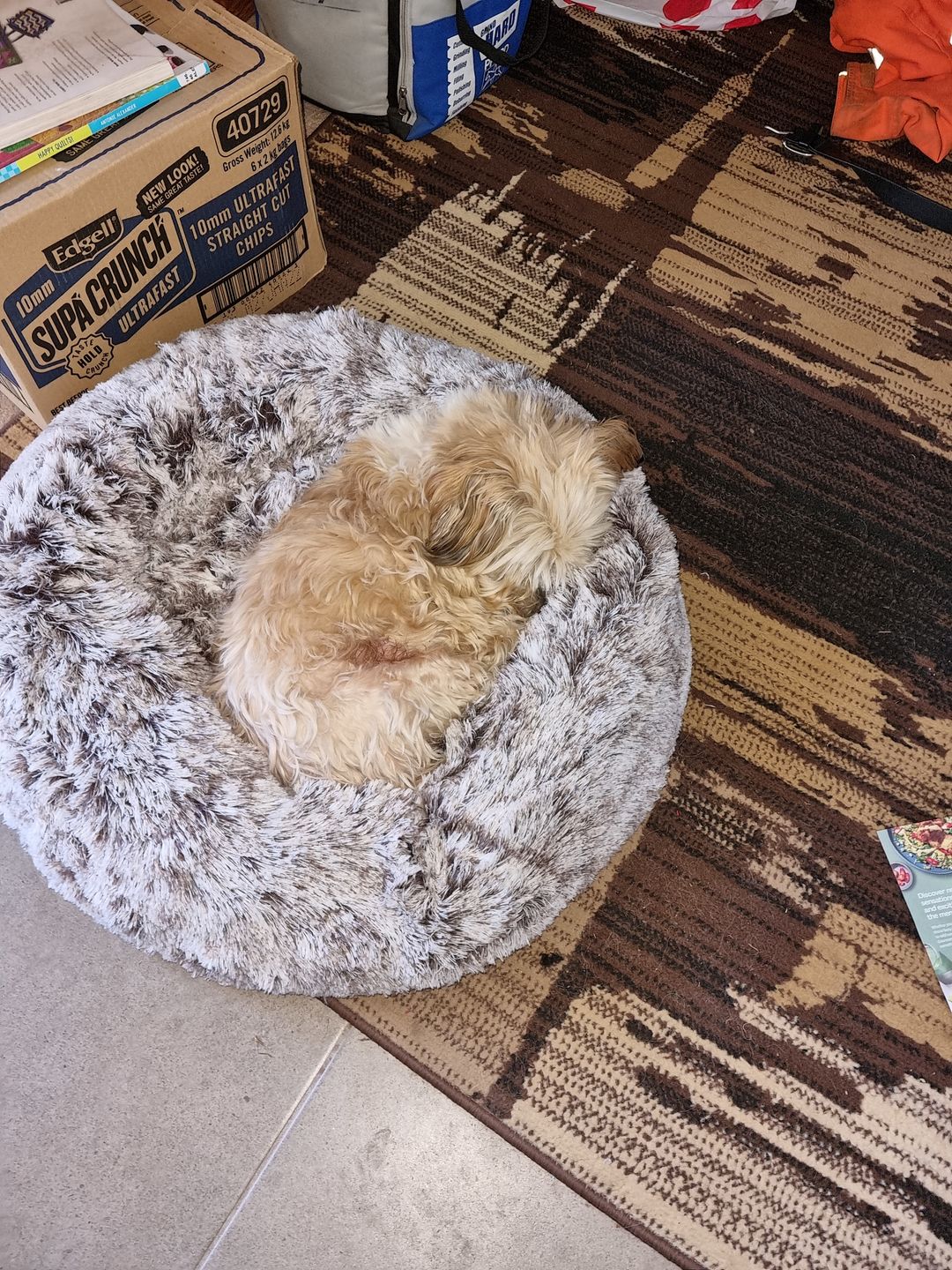 Customer photo review of Pawz Running Bum Bag