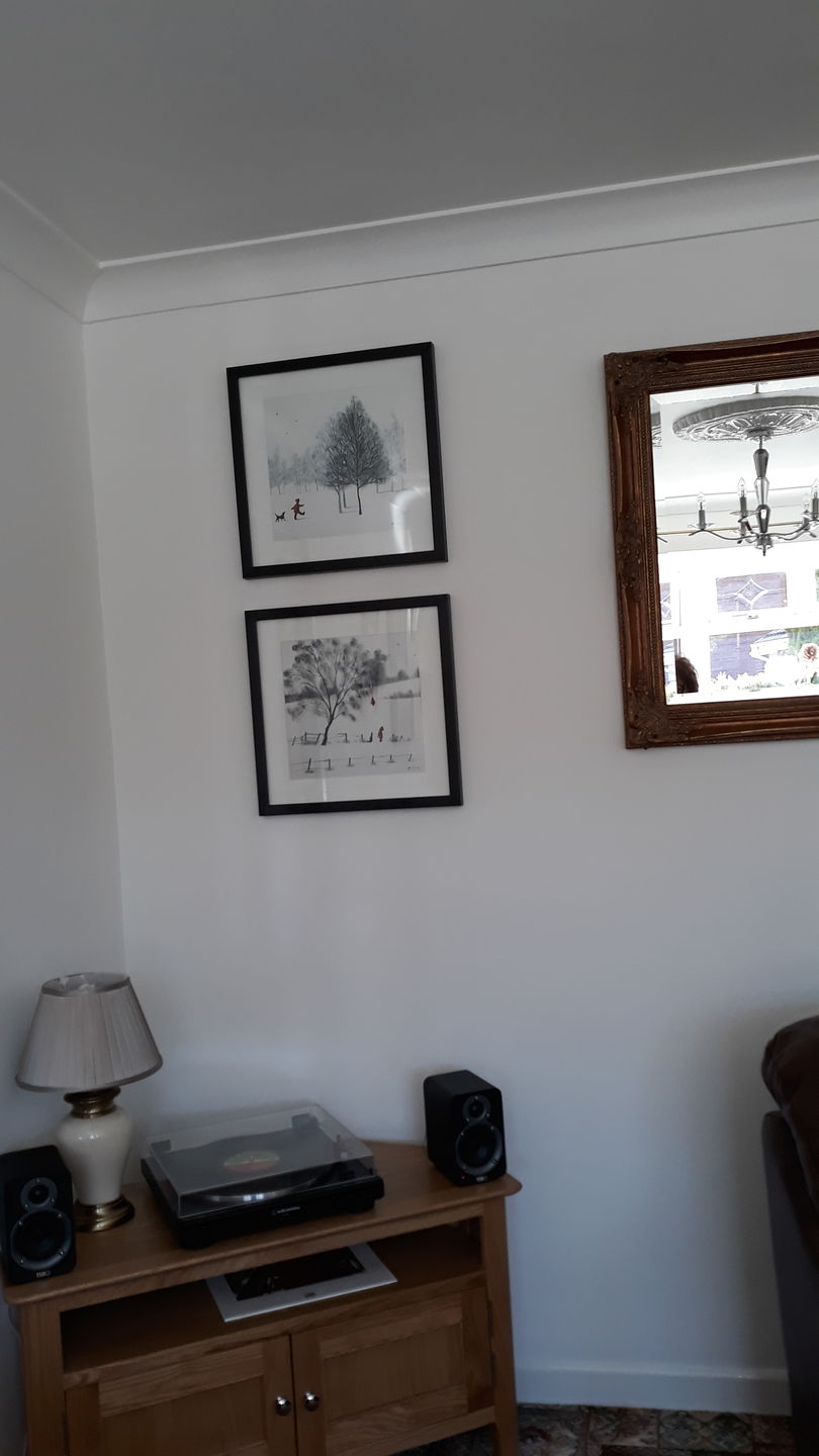 Customer photo review of Red Kite By Adam Barsby