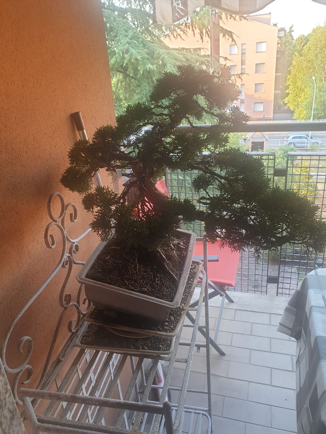 Customer photo review of AUTUNNO NUCLEARE PACK