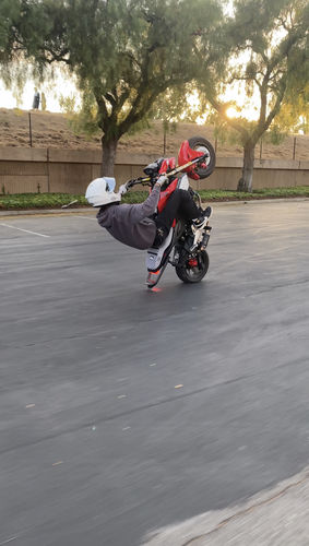 Customer photo review of Gripper Seat Cover