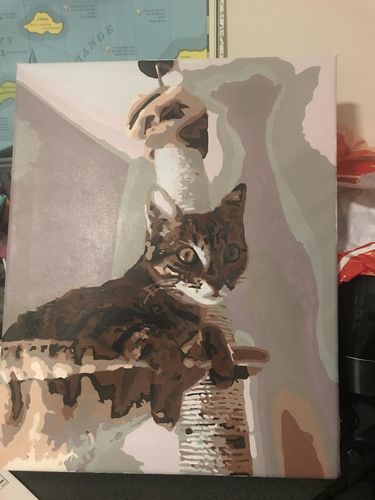 Customer photo review of MÅLA EFTER NUMMER – SKAPA EN PERSONLIG TAVLA AV DITT EGET FOTO
