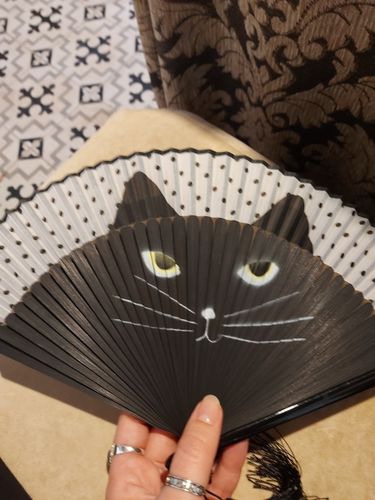 Customer photo review of Cat Silk Fans