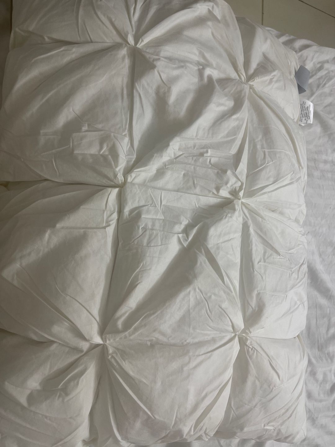 Customer photo review of Goose Down Pillow