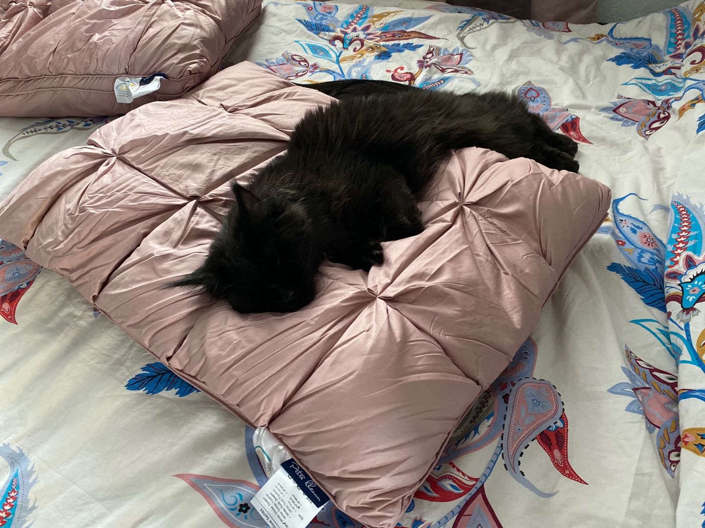 Customer photo review of Goose Down Pillow