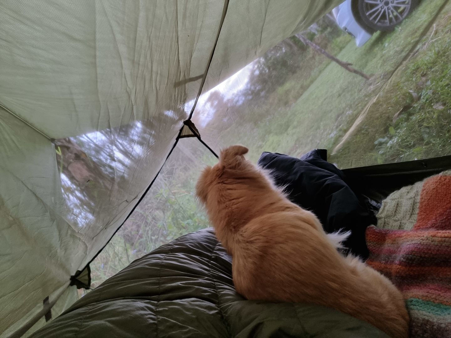 Customer photo review of Ultralight Top Quilt