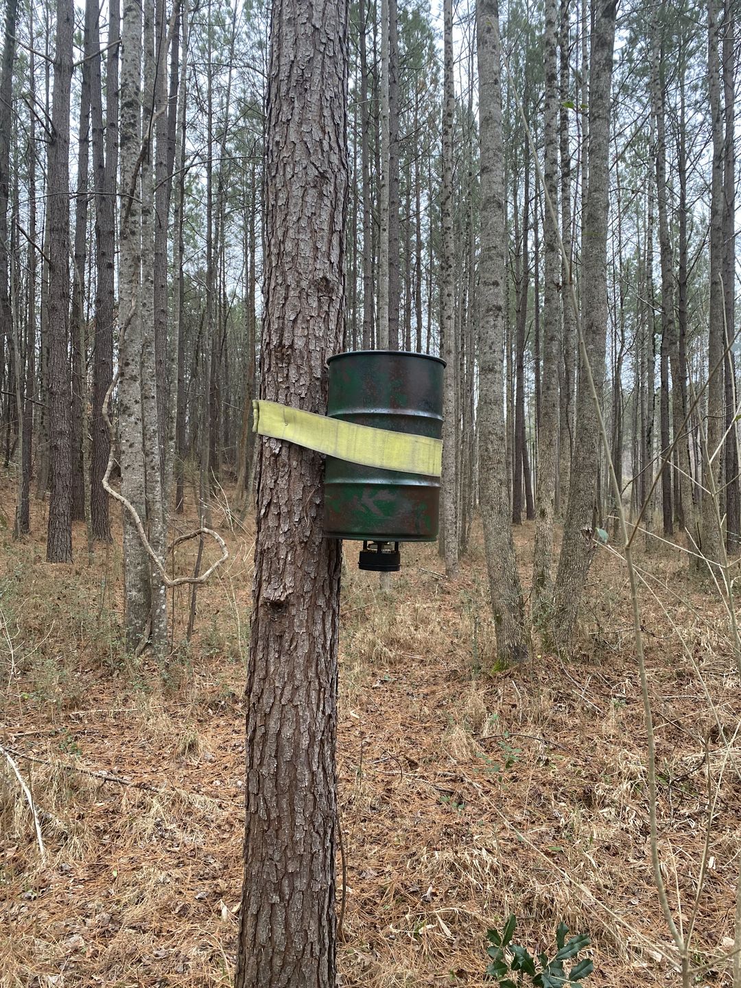 Customer photo review of Game Feeder Kit