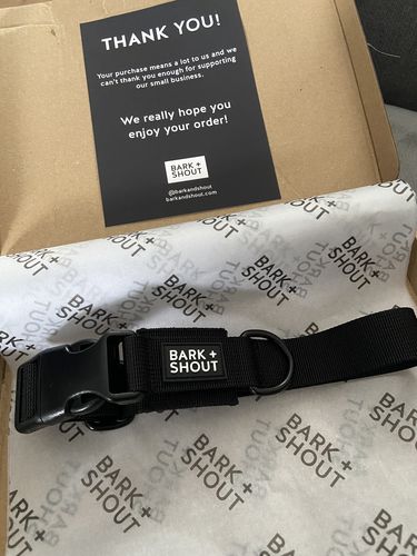 Customer photo review of LITE-25 Collar - Black (AirTag Collar)