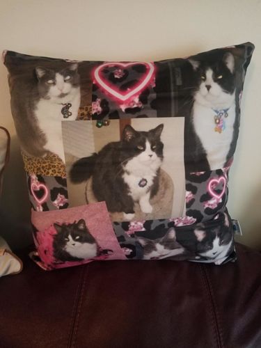 Customer photo review of Create A Custom Anything Pillow