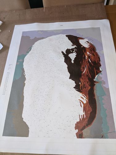 Customer photo review of MÅLA EFTER NUMMER – SKAPA EN PERSONLIG TAVLA AV DITT EGET FOTO