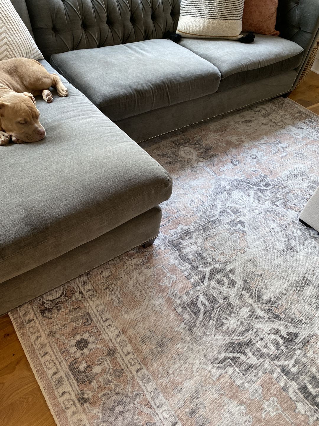 Customer photo review of Distressed Vintage Cezanne Blush Area Rug
