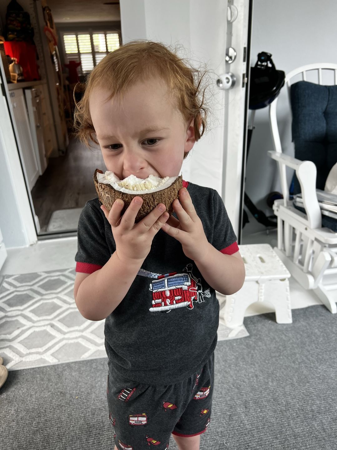 Customer photo review of Sprouted Coconut Box