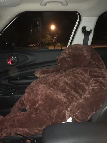 Customer photo review of SKOGGY BEAR