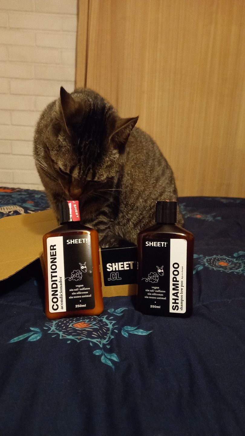 Customer photo review of Shampoo + acondicionador