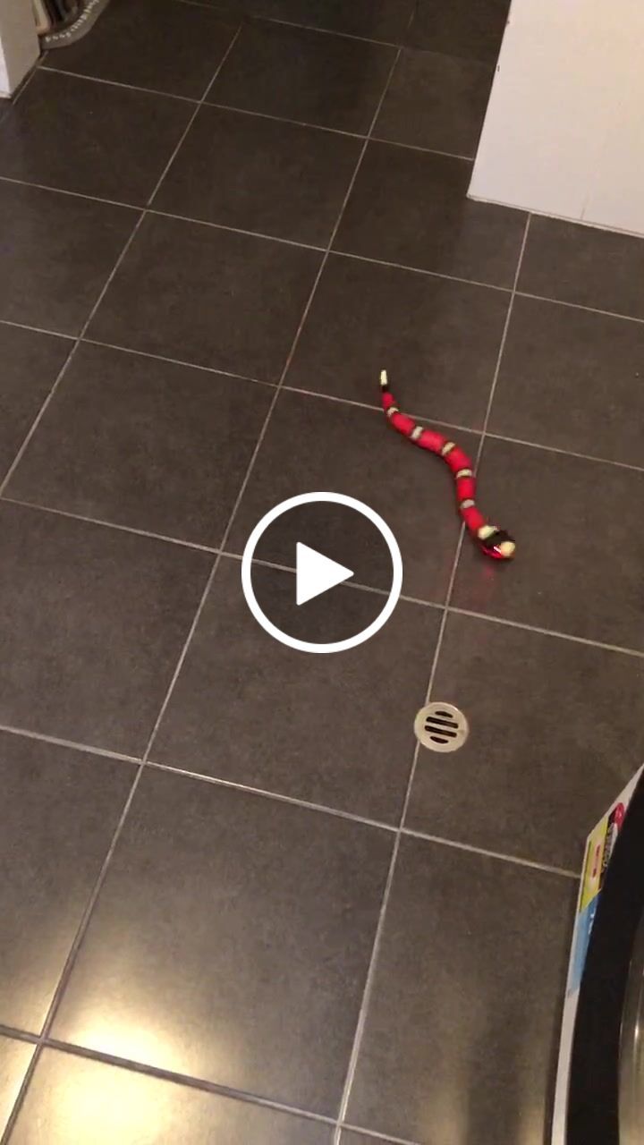 Customer video review of Smart Sensing Snake