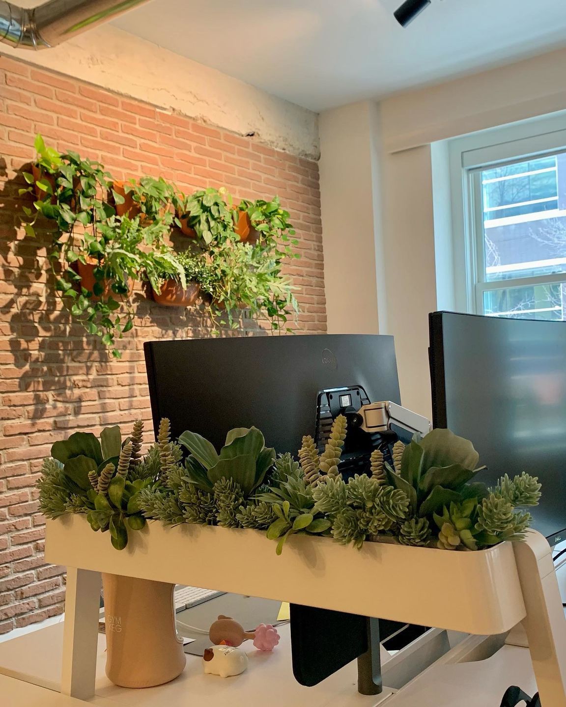 Customer photo review of Eco Terracotta Wall Planter