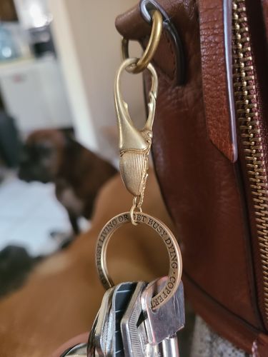 Customer photo review of Brass Beetle Snap Keychain