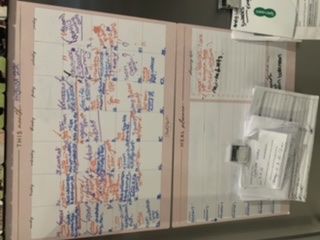 Customer photo review of NEW Blush Magnet Planner Set