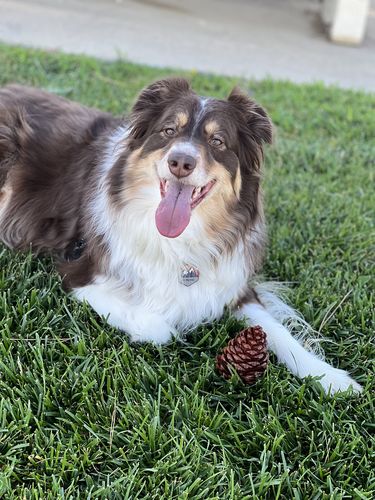 Customer photo review of Explorer Silicone